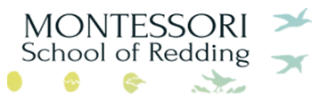 Montessori School of Redding